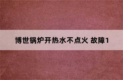 博世锅炉开热水不点火 故障1